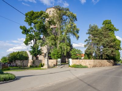 Kolnica